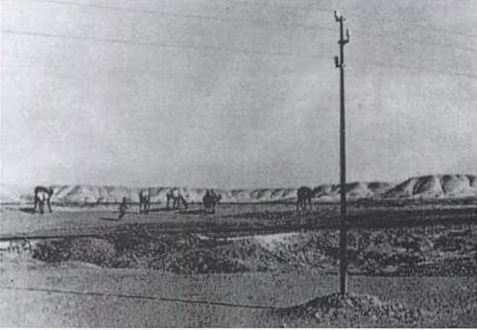 Indo Line 1865